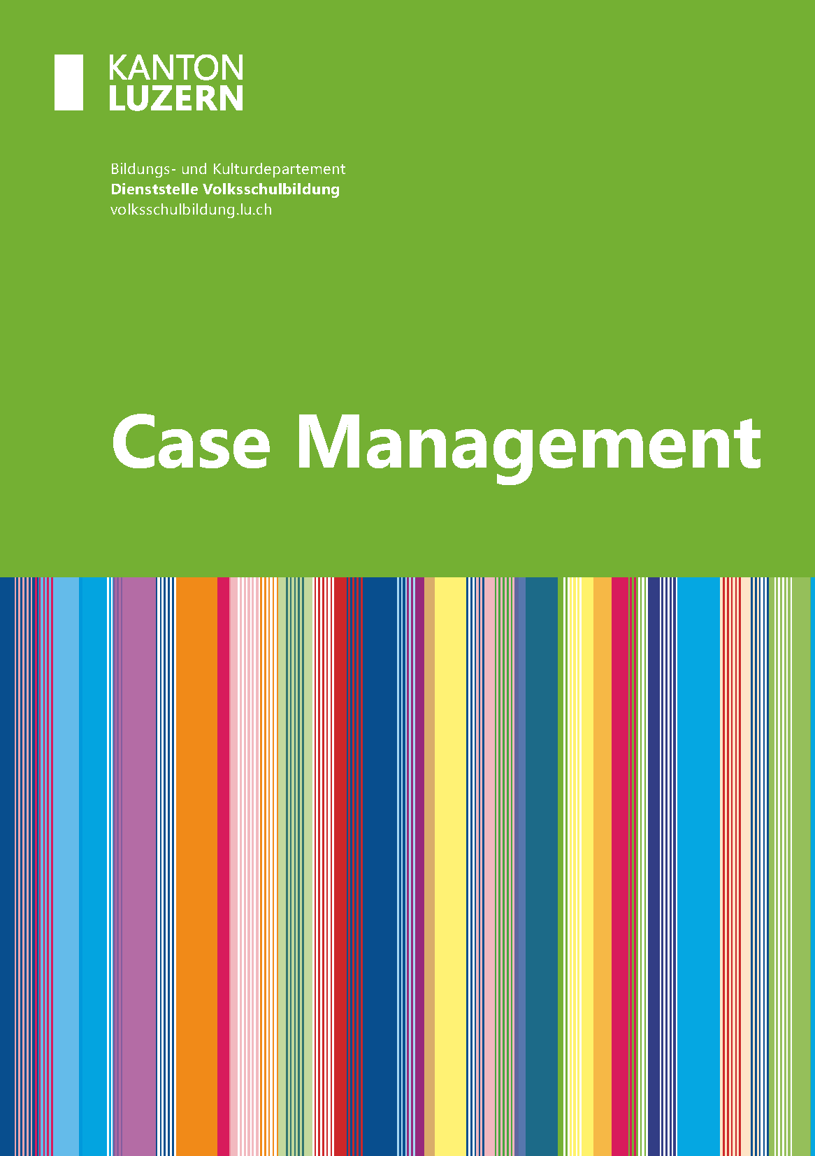 Flyer Case Management