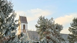 Zahlreiche Störche machen Halt auf dem verschneiten Dach der Johanniterkirche