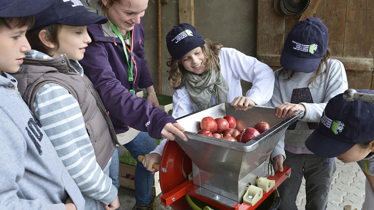 Lernende beim Verarbeiten von Äpfeln auf dem Bauernhof